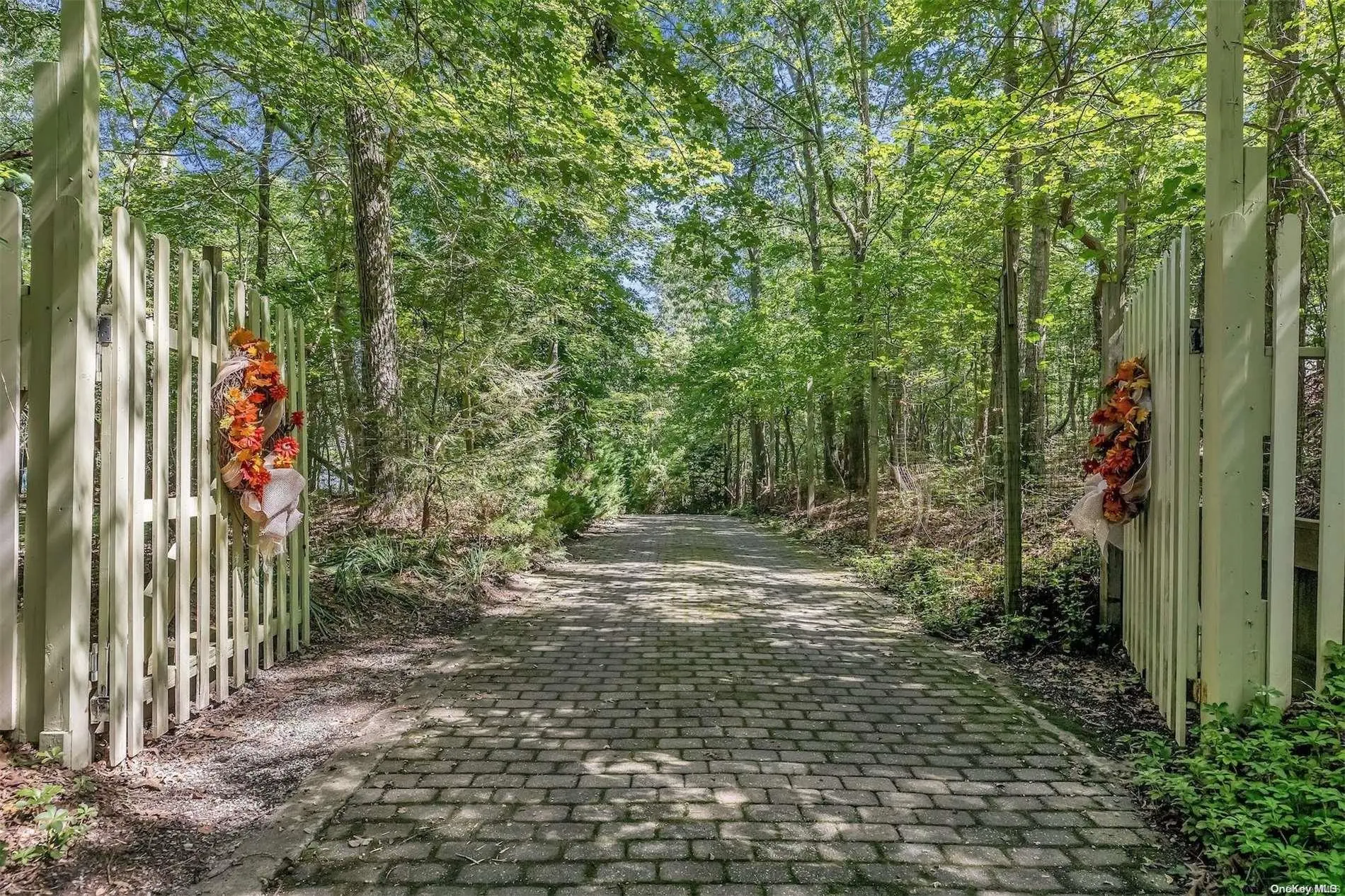 Photograph of 558 Pleasure Drive
