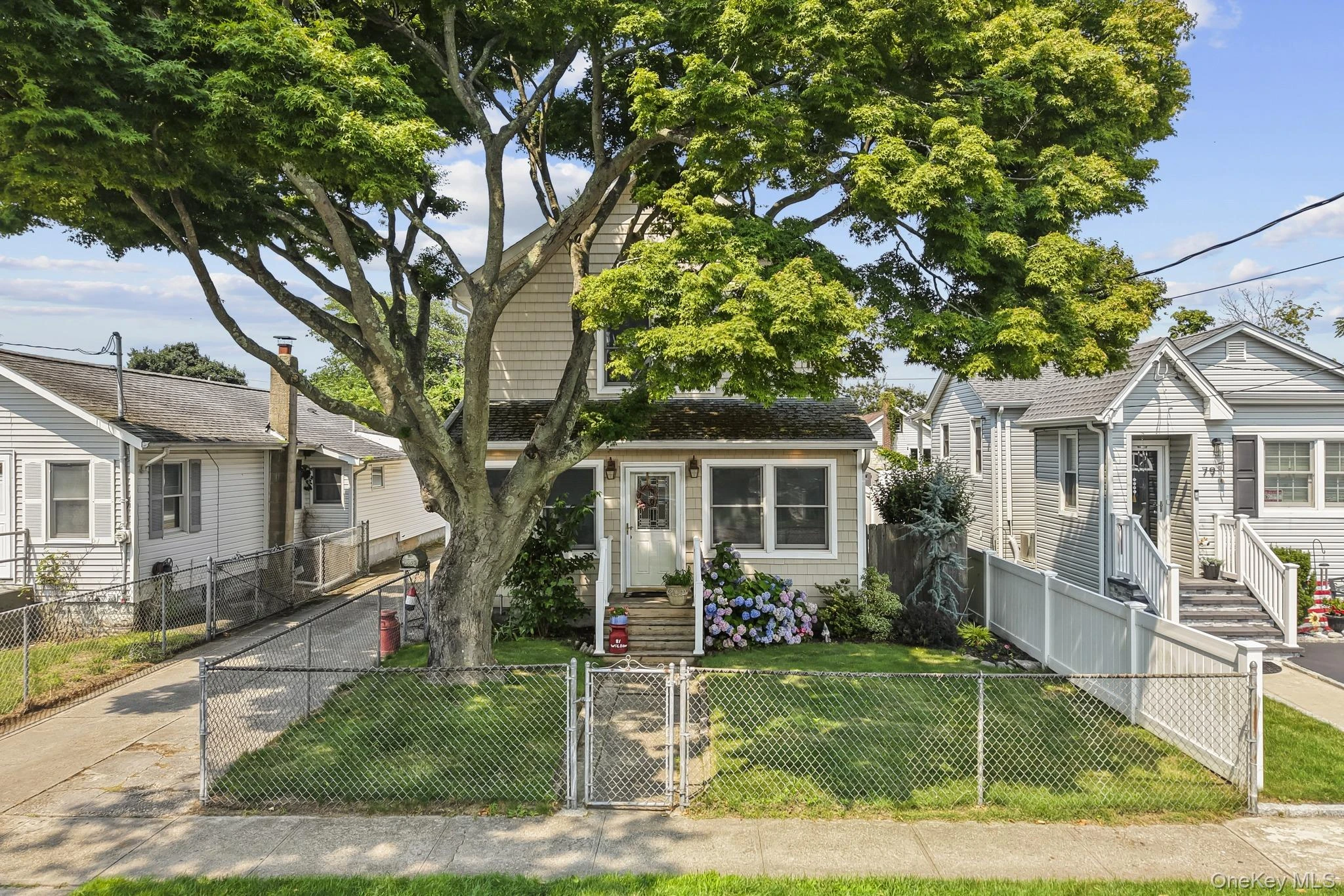 Photograph of 81 Wilson Avenue
