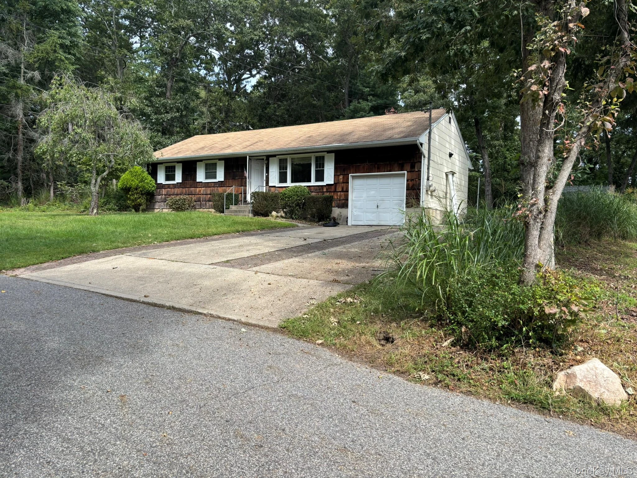 Photograph of 219 Shafter Street
