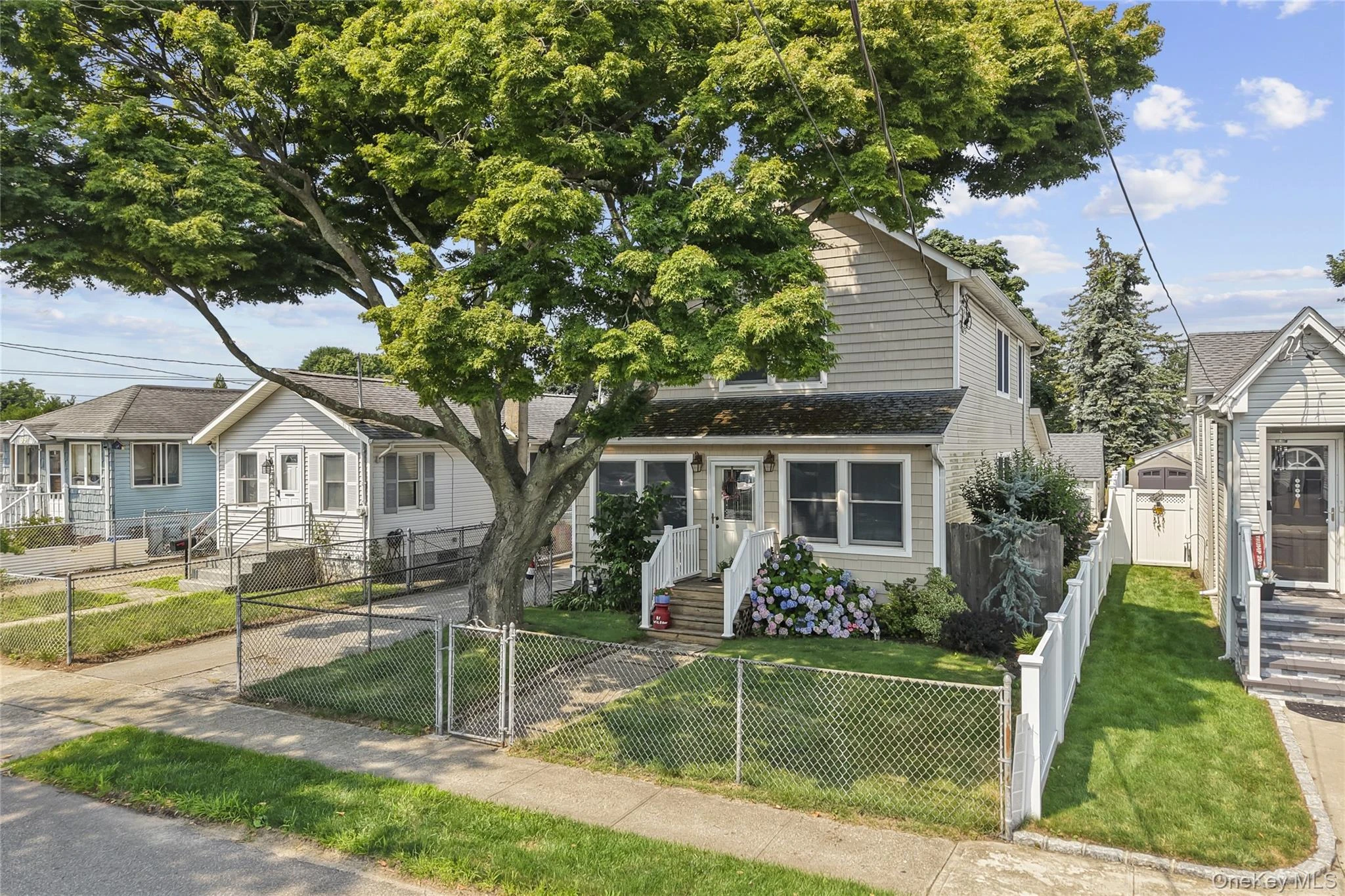 Photograph of 81 Wilson Avenue