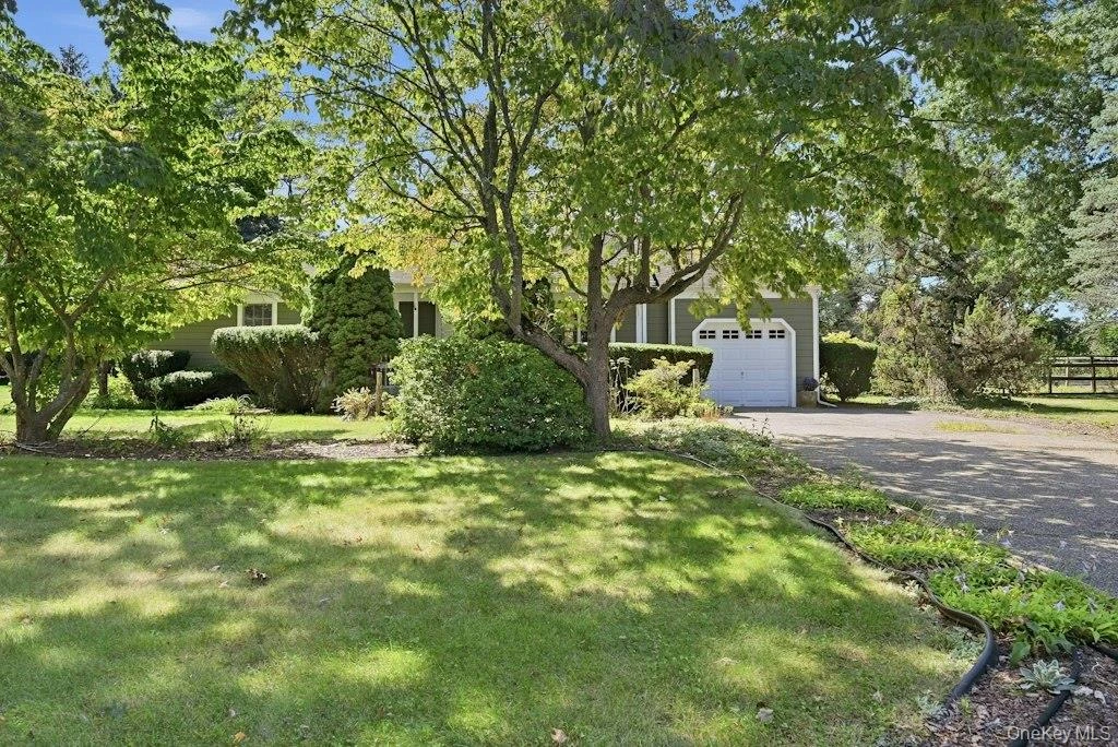 Photograph of 985 Silver Colt Road